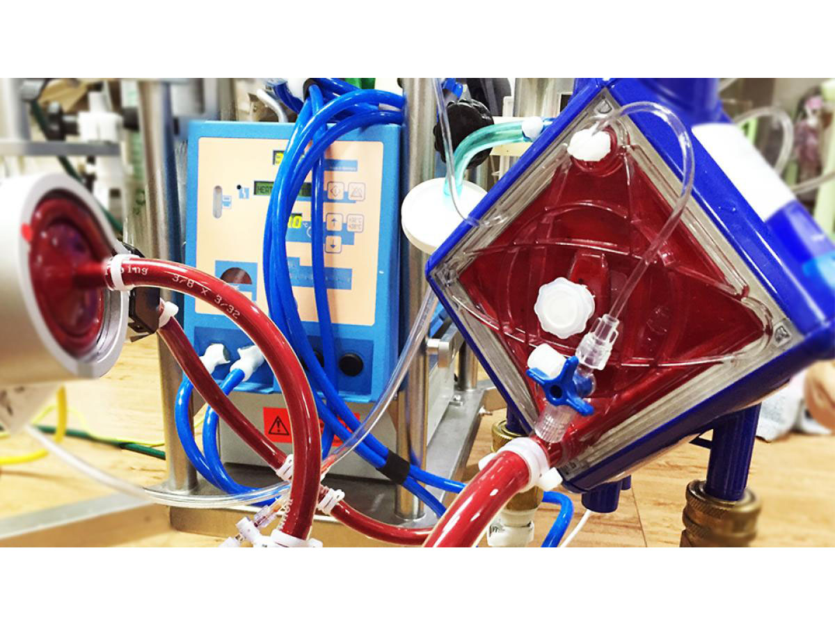 Procédure ACR réfractaire ECMO